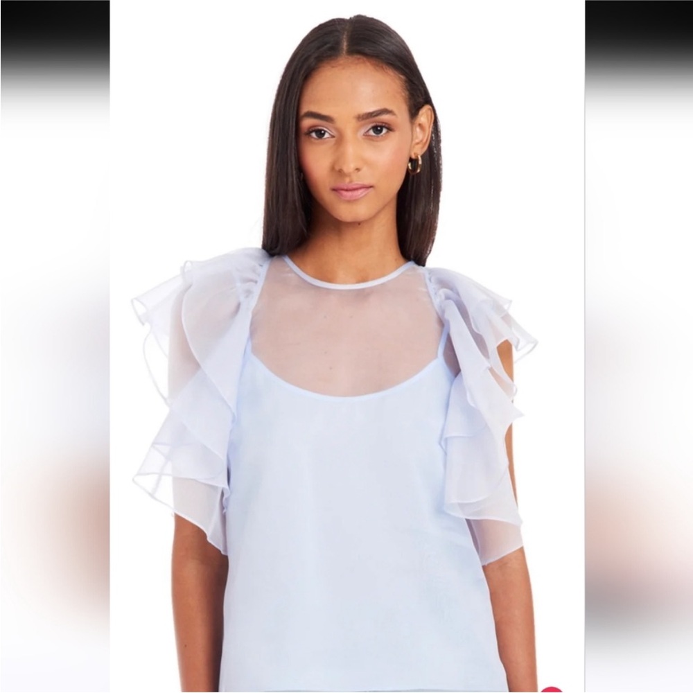 Amanda Uprichard Sheer Blue Ruffle Blouse